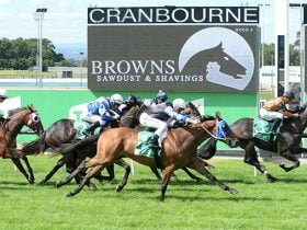 Cranbourne - Expert Horse Racing Tips