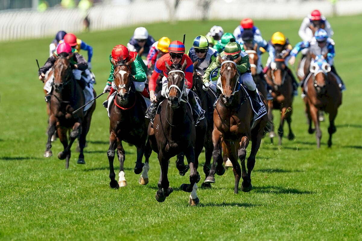 Verry Elleegant Melbourne Cup -Expert Horse Racing Tips
