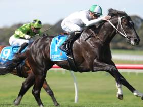 Bank Maur - Horse Racing Tips