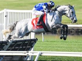 Saunter Boy - Jumps Tips